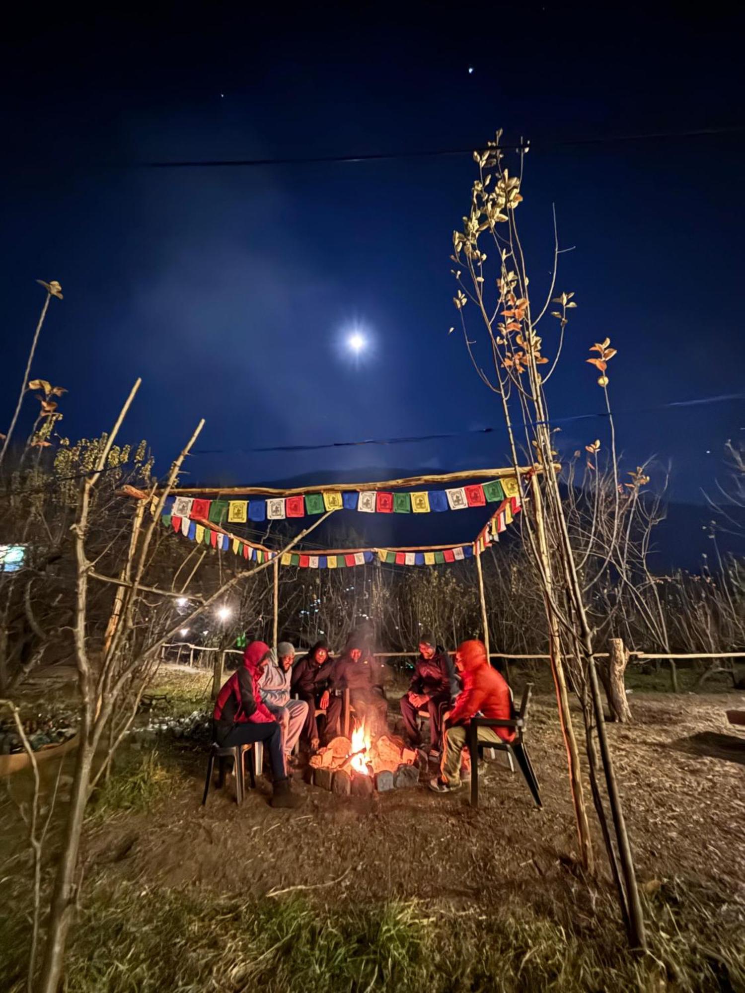 Basecamp Manali旅舍 外观 照片