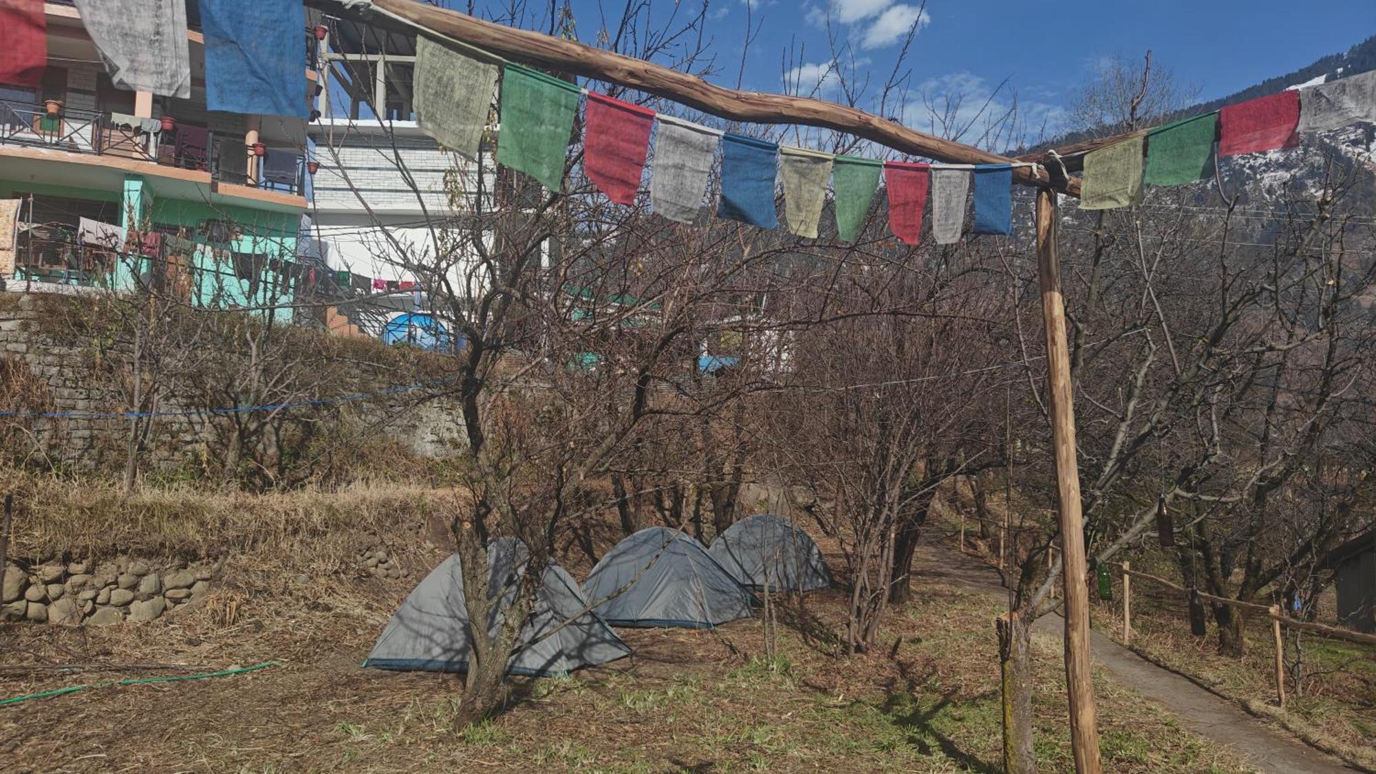 Basecamp Manali旅舍 客房 照片