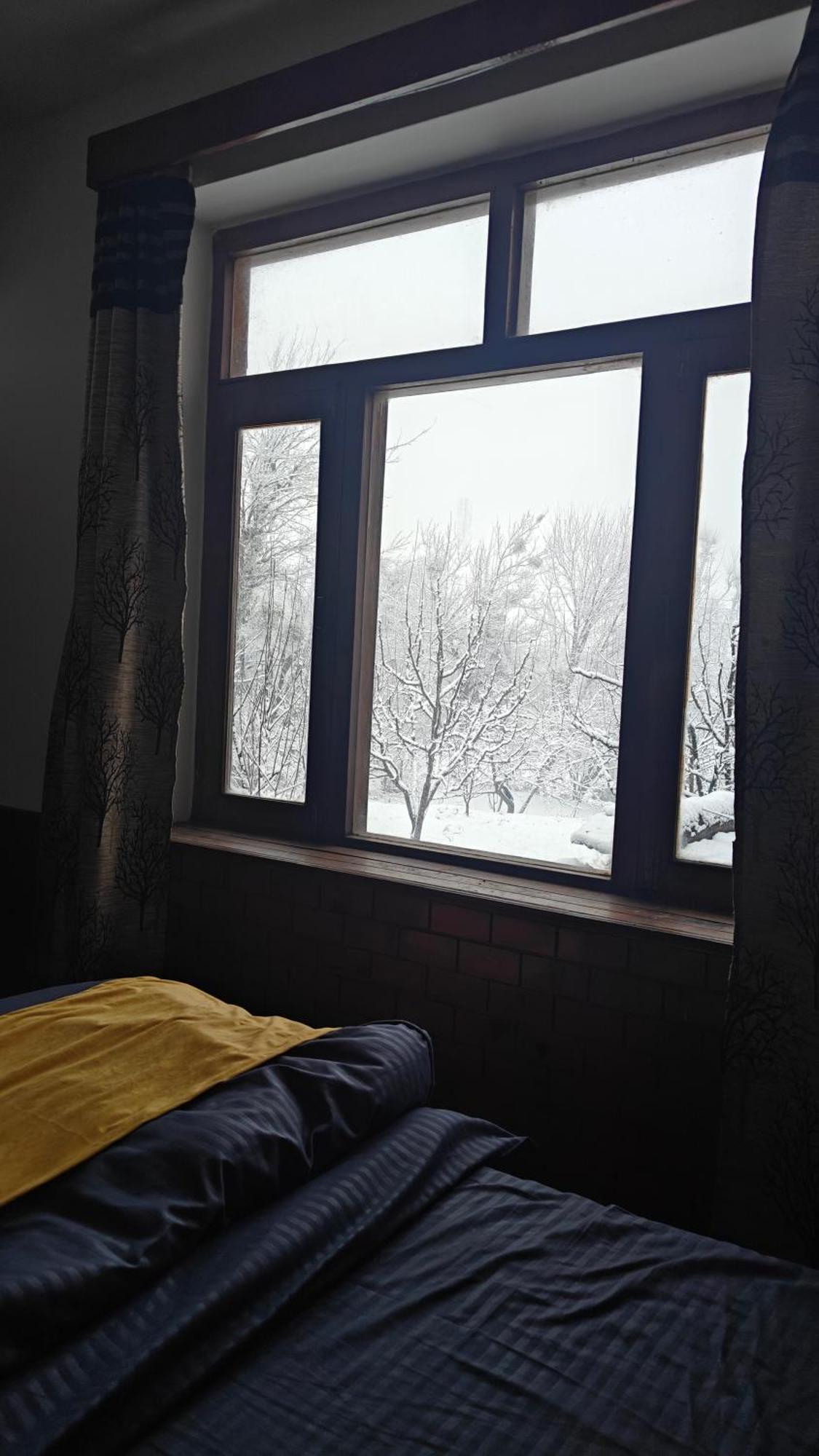 Basecamp Manali旅舍 客房 照片
